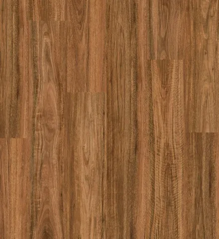 Titan Hybrid, Spotted Gum