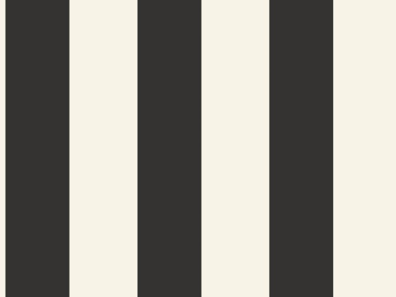 Striped Black White Wallpaper Caselio BAI104029290 Basics 1