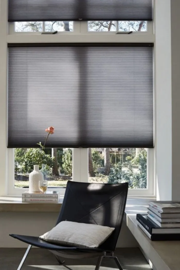 Luxaflex Duette Blinds