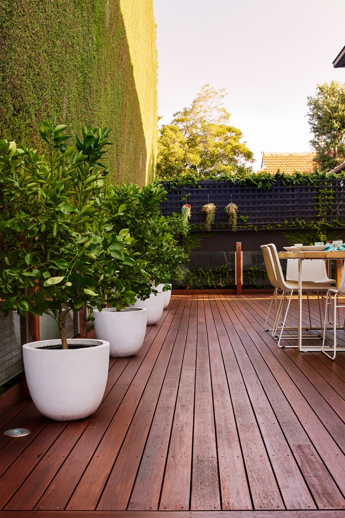 Natural Decking Oil Image