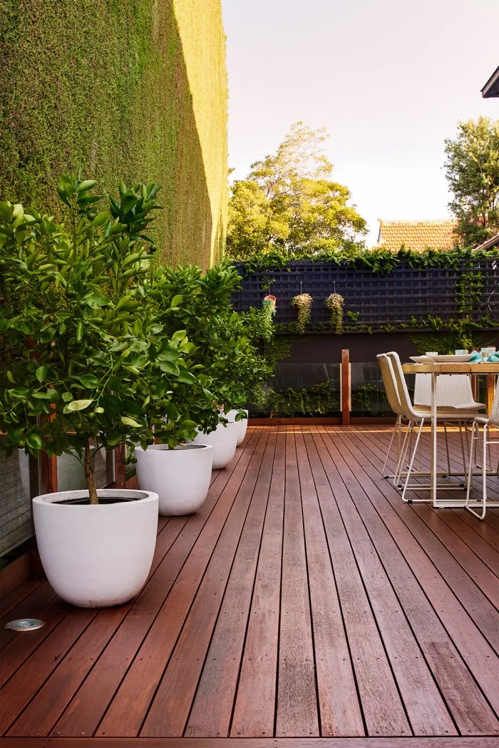 Natural Decking Oil Image