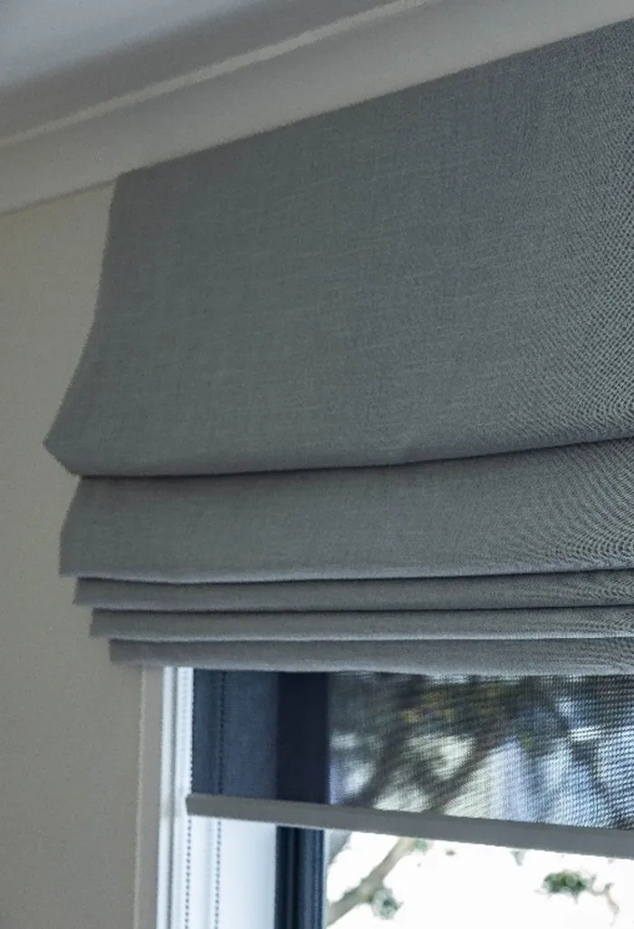 Roman Blind Image Article 1