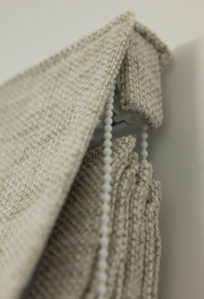 Roman Blind Image Article 3