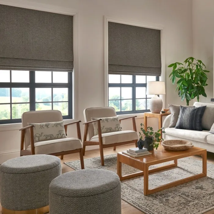 Roman Blind Image Article 4 v2